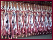 Мясо говядины оптом. Казахстан. 